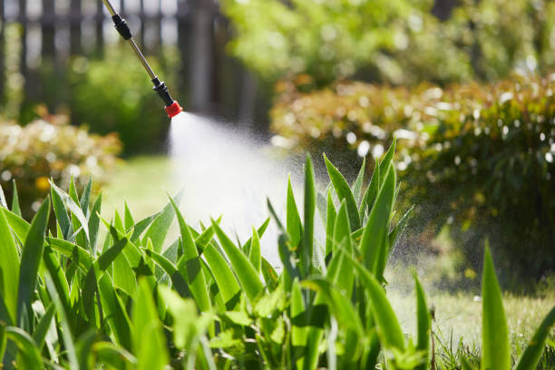 Tamper-Resistant Bait Stations for Rodents in High Springs