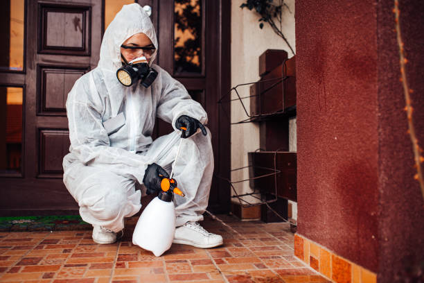 Attic and Crawl Space Rodent Treatment in High Springs